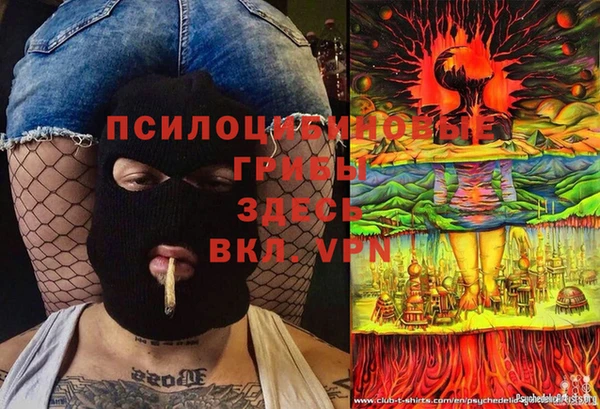 гашик Балахна
