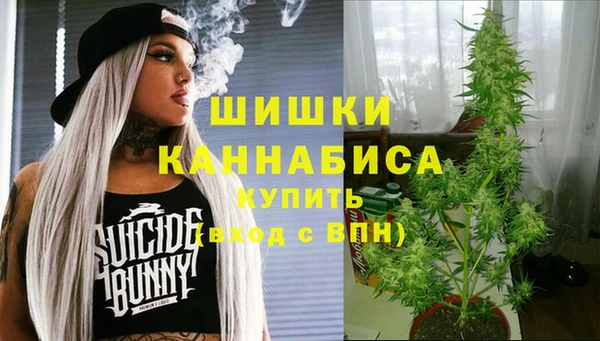 стафф Балабаново