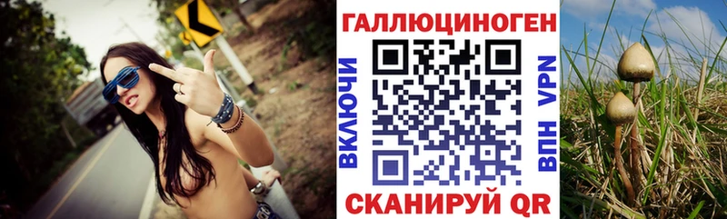 Купить где  Лиски  Галлюциногенные грибы MAGIC MUSHROOMS 